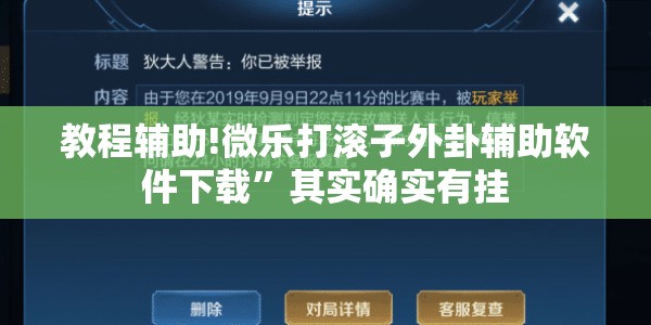 教程辅助!微乐打滚子外卦辅助软件下载”其实确实有挂