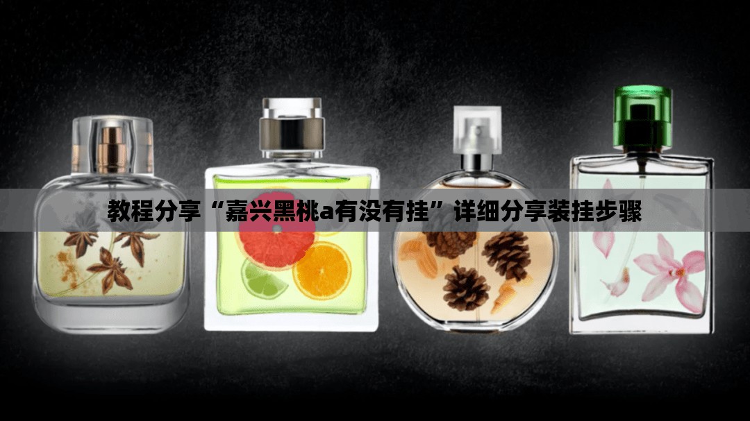 教程分享“嘉兴黑桃a有没有挂”详细分享装挂步骤