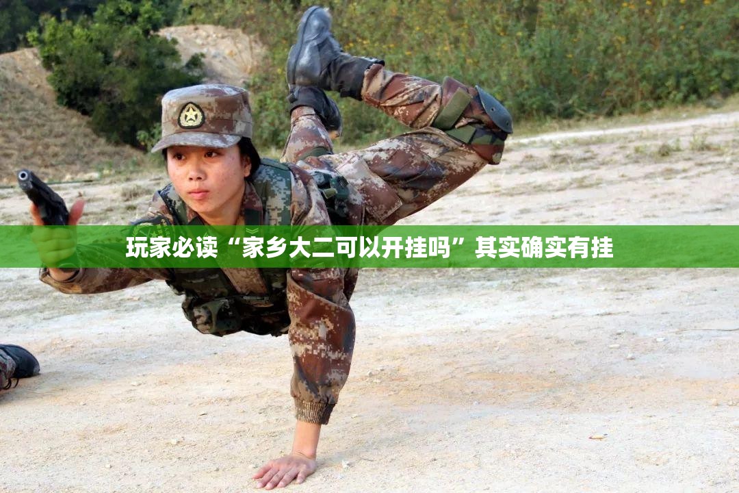 玩家必读“家乡大二可以开挂吗”其实确实有挂