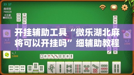 开挂辅助工具“微乐湖北麻将可以开挂吗”细辅助教程分享