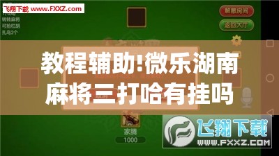 教程辅助!微乐湖南麻将三打哈有挂吗	”(免费)开挂辅助教学(最新辅助开挂教程)