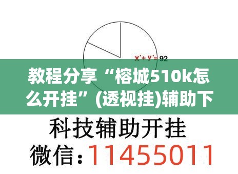教程分享“榕城510k怎么开挂”(透视挂)辅助下载教程