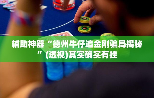 辅助神器“德州牛仔追金刚骗局揭秘	”(透视)其实确实有挂