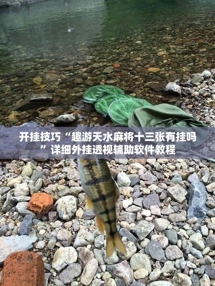 开挂技巧“趣游天水麻将十三张有挂吗”详细外挂透视辅助软件教程