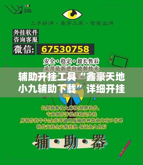 辅助开挂工具“鑫豪天地小九辅助下载”详细开挂教程