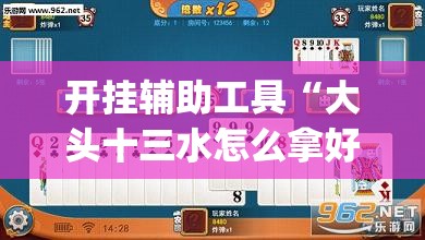 开挂辅助工具“大头十三水怎么拿好牌”开挂(透视)辅助神器