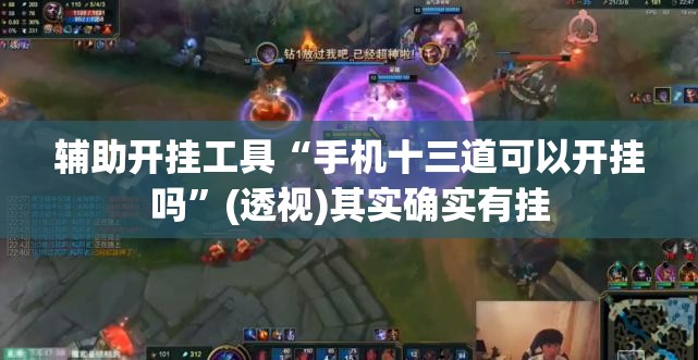 辅助开挂工具“手机十三道可以开挂吗”(透视)其实确实有挂