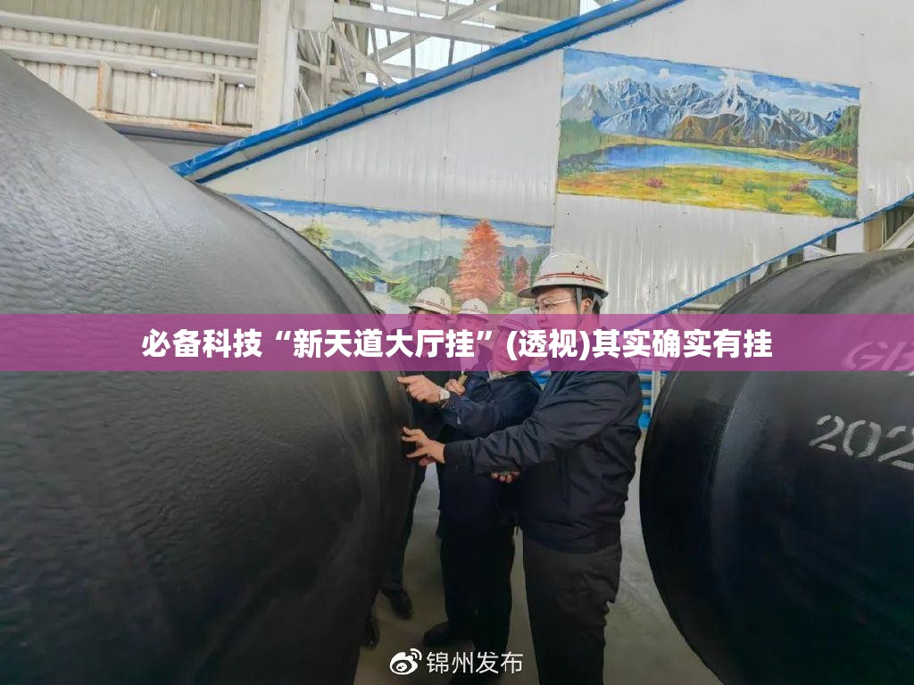 必备科技“新天道大厅挂	”(透视)其实确实有挂