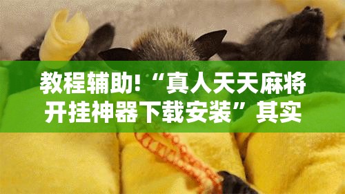 教程辅助!“真人天天麻将开挂神器下载安装	”其实确实有挂