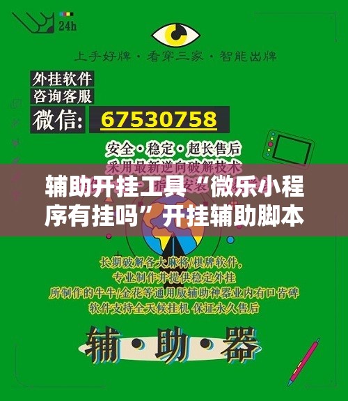 辅助开挂工具“微乐小程序有挂吗”开挂辅助脚本+详细开挂安装教程
