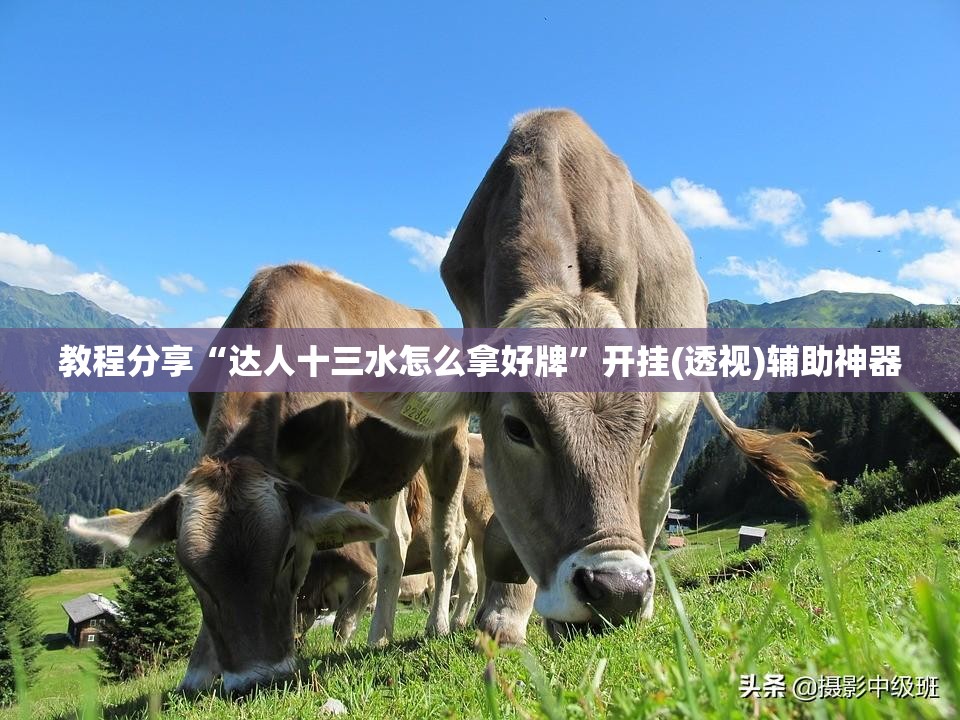教程分享“达人十三水怎么拿好牌”开挂(透视)辅助神器