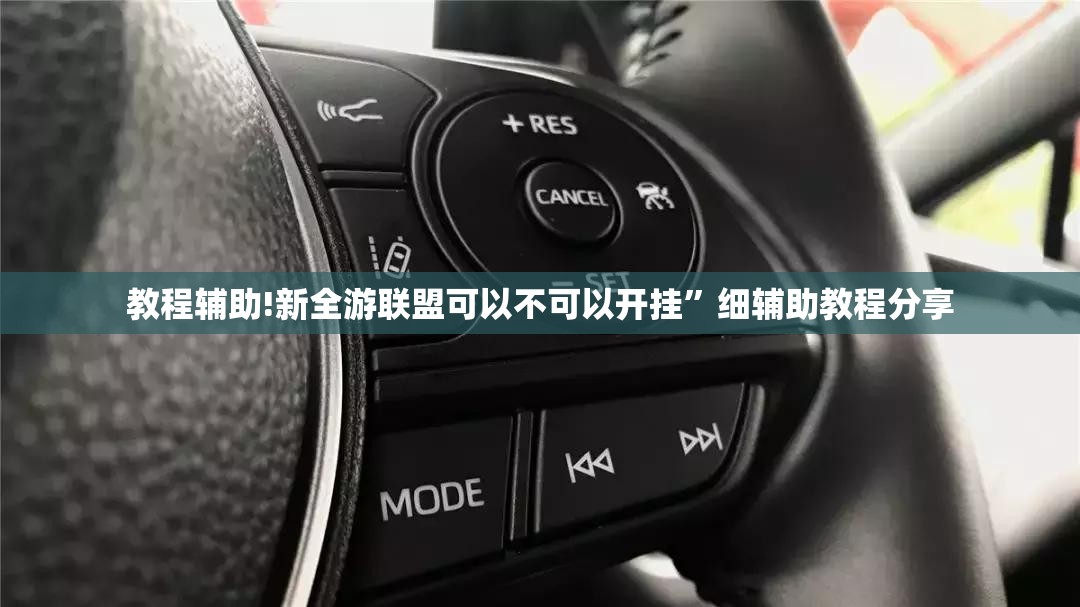 教程辅助!新全游联盟可以不可以开挂”细辅助教程分享