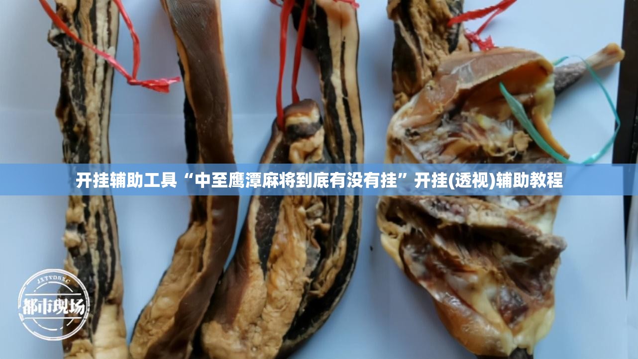 开挂辅助工具“中至鹰潭麻将到底有没有挂”开挂(透视)辅助教程