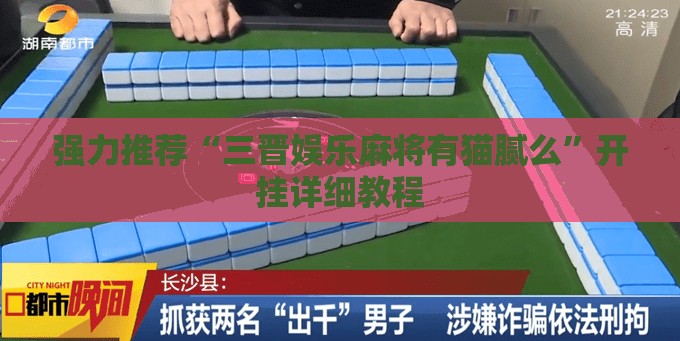 强力推荐“三晋娱乐麻将有猫腻么”开挂详细教程