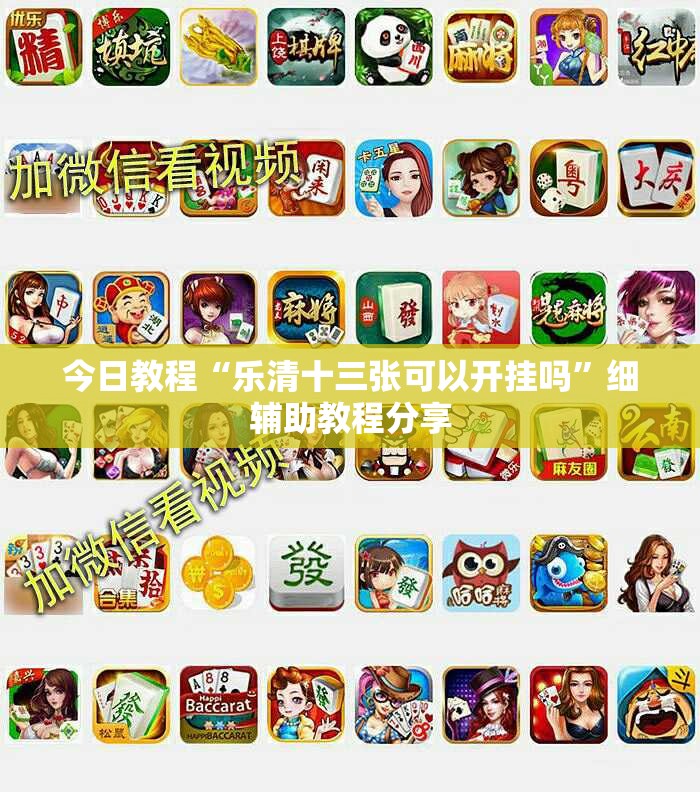 今日教程“乐清十三张可以开挂吗	”细辅助教程分享