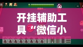开挂辅助工具“微信小程序微乐跑得快有挂吗	”科技辅助神器手机版