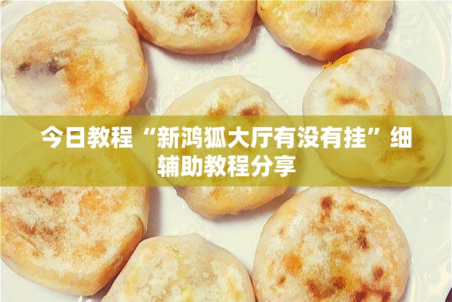 今日教程“新鸿狐大厅有没有挂”细辅助教程分享