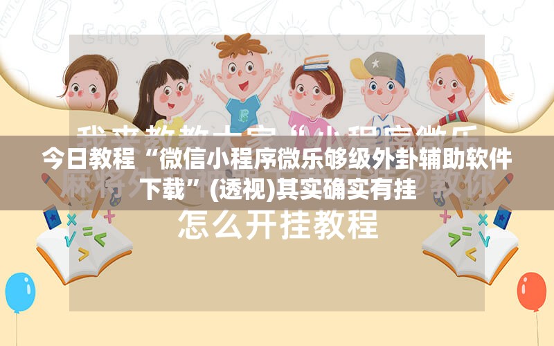 今日教程“微信小程序微乐够级外卦辅助软件下载”(透视)其实确实有挂