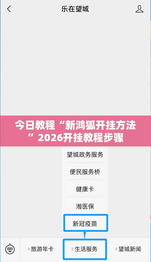 今日教程“新鸿狐开挂方法”2026开挂教程步骤