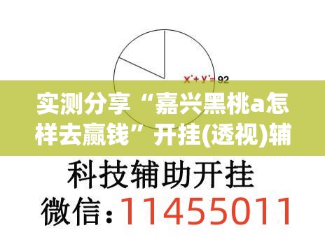 实测分享“嘉兴黑桃a怎样去赢钱”开挂(透视)辅助教程