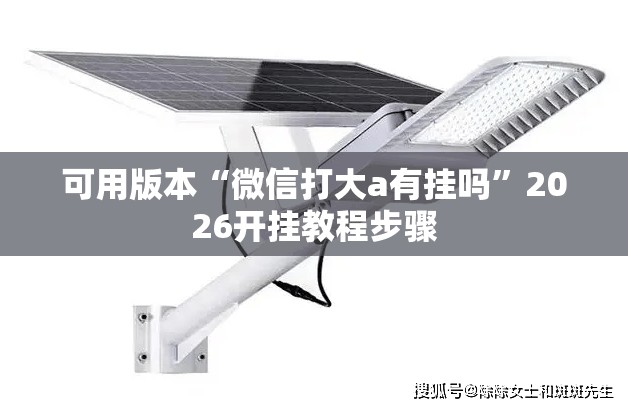 可用版本“微信打大a有挂吗	”2026开挂教程步骤