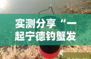 实测分享“一起宁德钓蟹发牌规律”详细外挂透视辅助软件教程