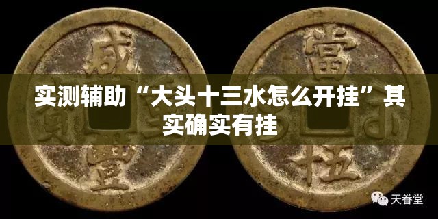 实测辅助“大头十三水怎么开挂”其实确实有挂