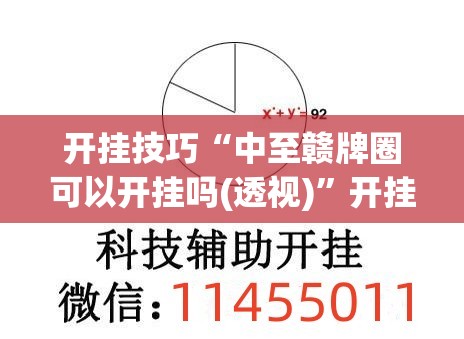 开挂技巧“中至赣牌圈可以开挂吗(透视)”开挂辅助脚本+详细开挂安装教程