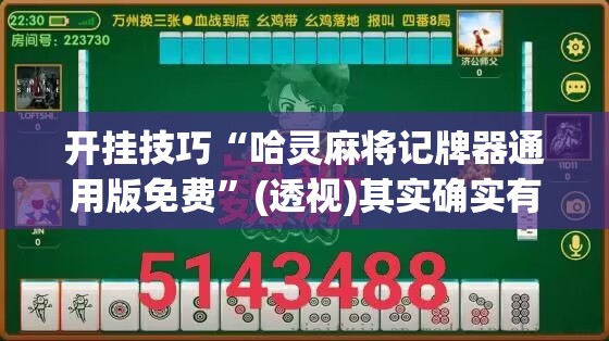 开挂技巧“哈灵麻将记牌器通用版免费”(透视)其实确实有挂