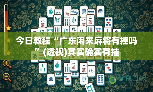 今日教程“广东闲来麻将有挂吗”(透视)其实确实有挂