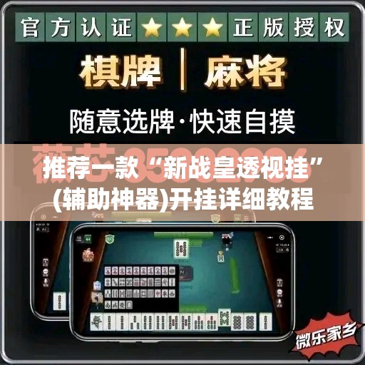 推荐一款“新战皇透视挂”(辅助神器)开挂详细教程