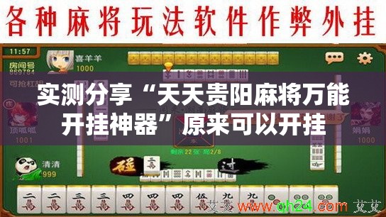实测分享“天天贵阳麻将万能开挂神器”原来可以开挂