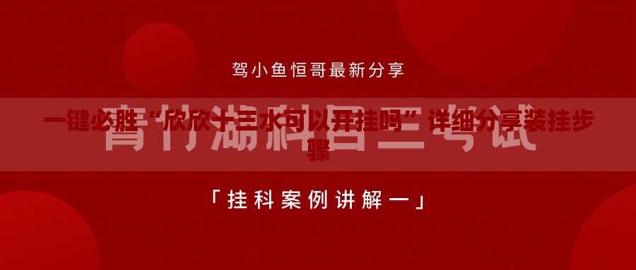 一键必胜“欣欣十三水可以开挂吗”详细分享装挂步骤
