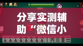 分享实测辅助“微信小程序微乐捉鸡麻将开挂辅助器通用版”科技辅助神器手机版