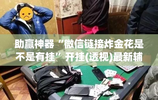 助赢神器“微信链接炸金花是不是有挂”开挂(透视)最新辅助详细