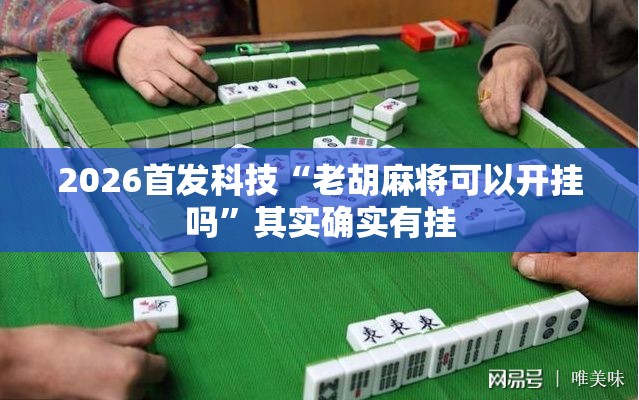 2026首发科技“老胡麻将可以开挂吗”其实确实有挂