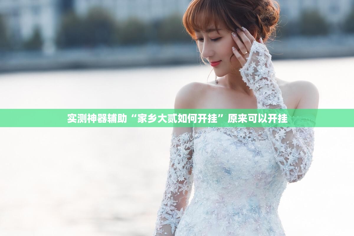 实测神器辅助“家乡大贰如何开挂”原来可以开挂