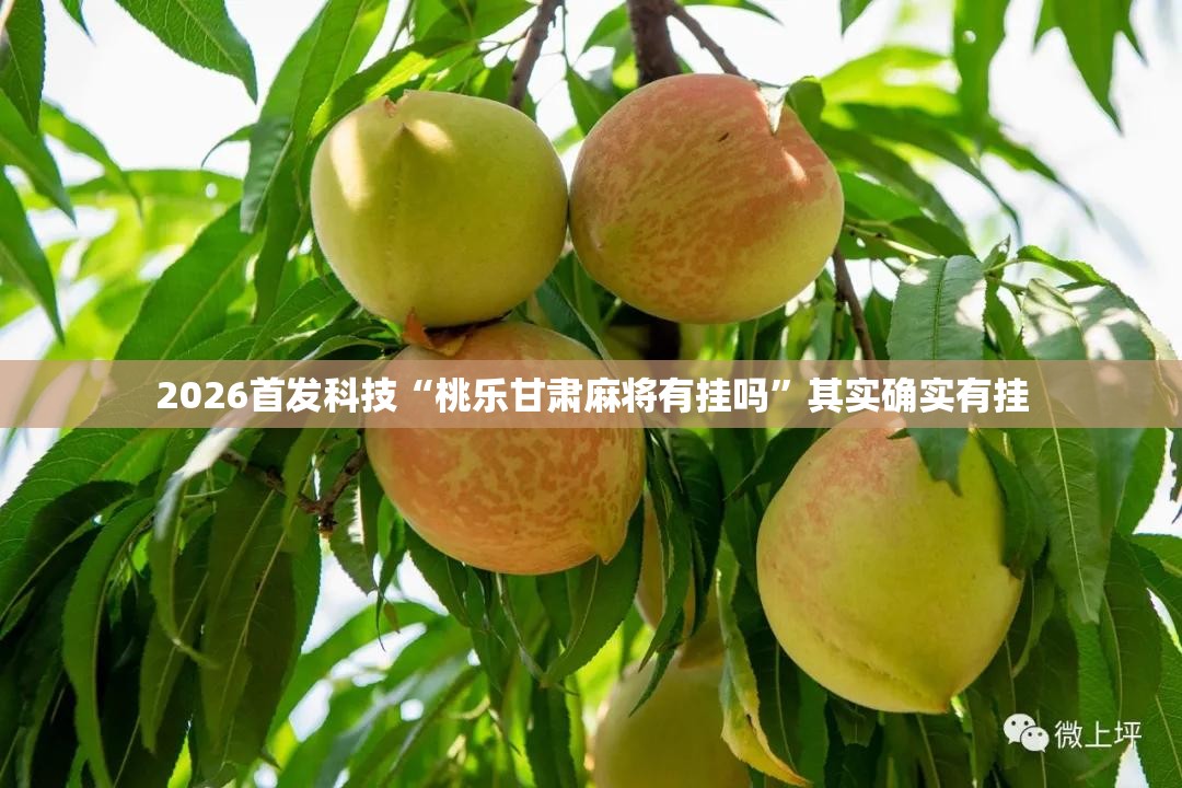 2026首发科技“桃乐甘肃麻将有挂吗”其实确实有挂