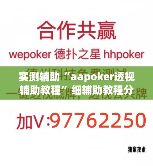 实测辅助“aapoker透视辅助教程”细辅助教程分享
