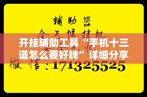 开挂辅助工具“手机十三道怎么要好牌”详细分享装挂步骤