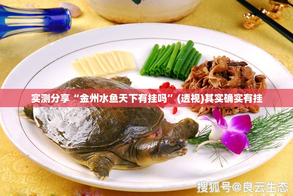 实测分享“金州水鱼天下有挂吗	”(透视)其实确实有挂