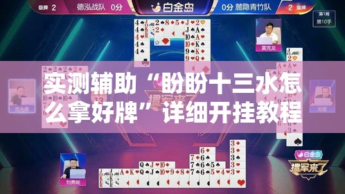 实测辅助“盼盼十三水怎么拿好牌”详细开挂教程