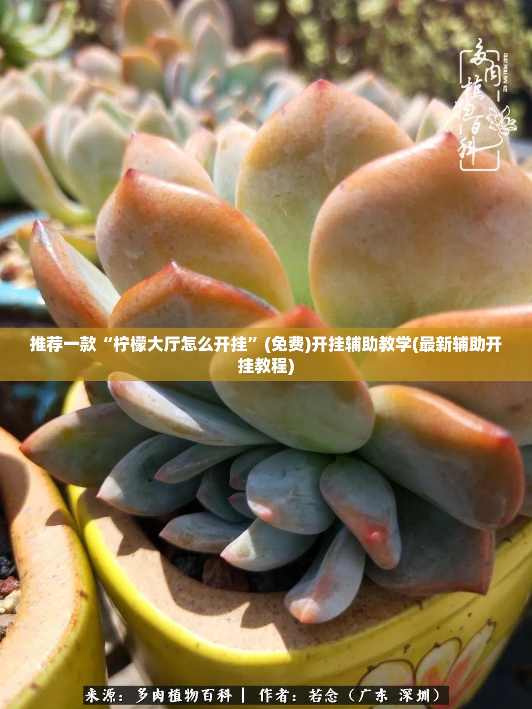 推荐一款“柠檬大厅怎么开挂”(免费)开挂辅助教学(最新辅助开挂教程)