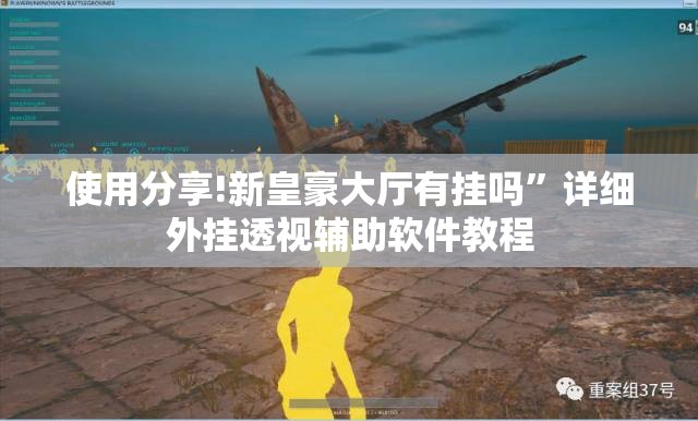 使用分享!新皇豪大厅有挂吗	”详细外挂透视辅助软件教程