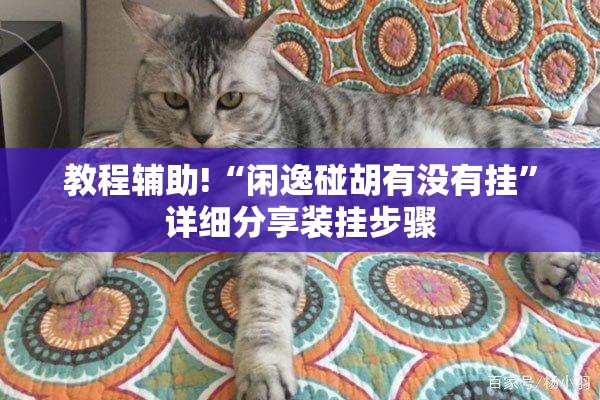 教程辅助!“闲逸碰胡有没有挂	”详细分享装挂步骤