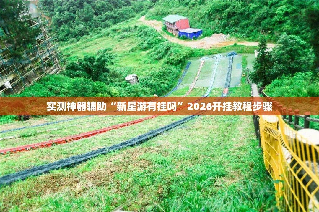 实测神器辅助“新星游有挂吗”2026开挂教程步骤