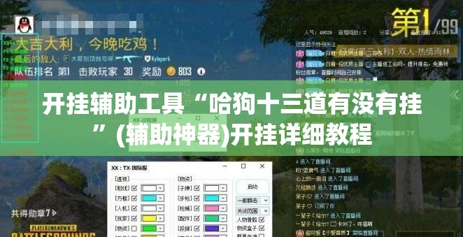 开挂辅助工具“哈狗十三道有没有挂”(辅助神器)开挂详细教程