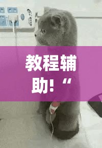 教程辅助!“微信打大a万能开挂神器	”(辅助神器)开挂详细教程