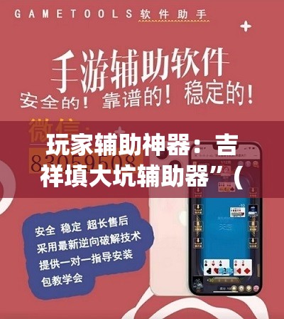 玩家辅助神器：吉祥填大坑辅助器”(透视)其实确实有挂