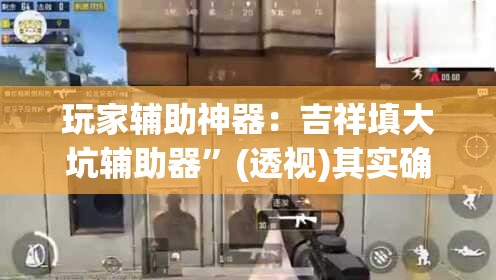 玩家辅助神器：吉祥填大坑辅助器	”(透视)其实确实有挂